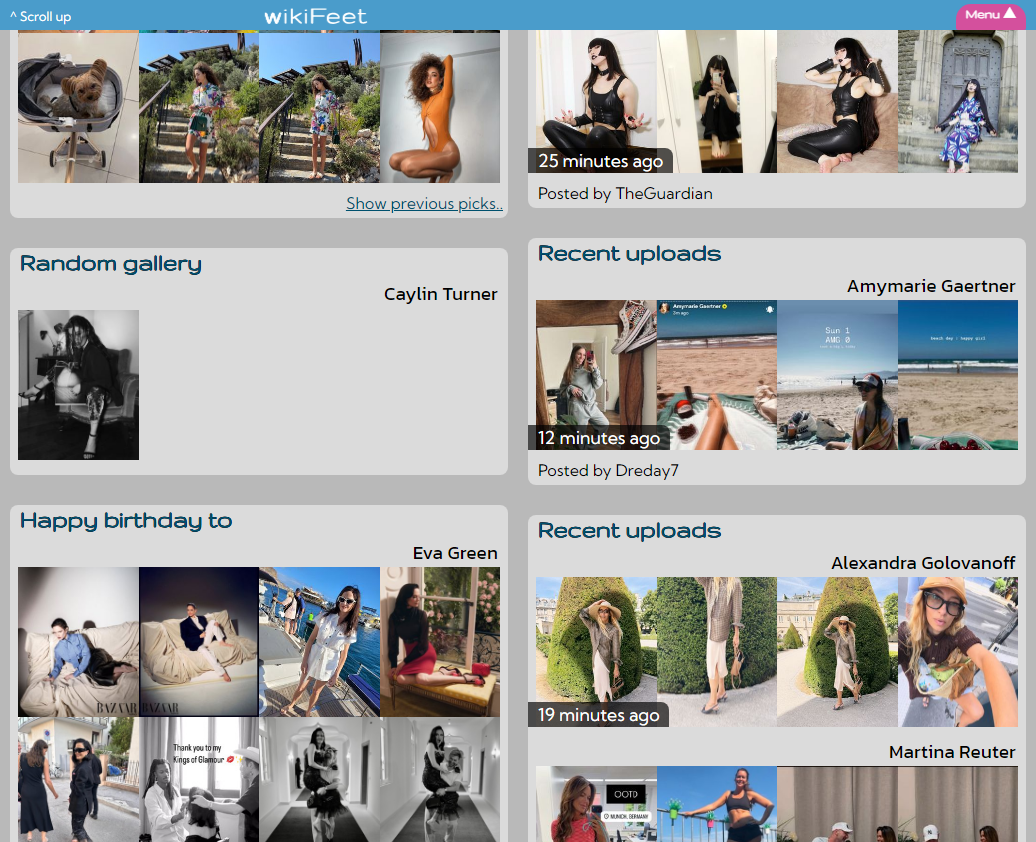 wikiFeet